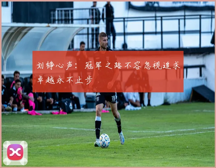 刘铮心声：冠军之路不容忽视追求卓越永不止步